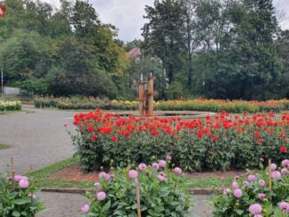 Zu sehen ist der Dahliengarten am 20. September 2021.