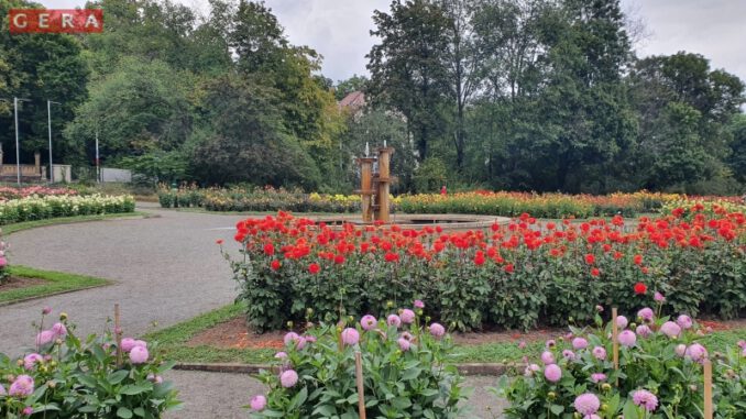 Zu sehen ist der Dahliengarten am 20. September 2021.